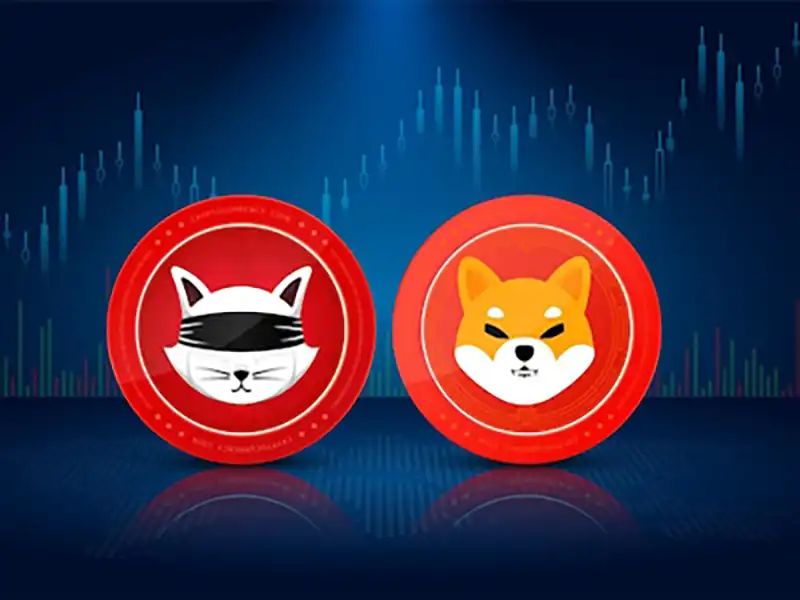 شباهتهای دوجکوین و بیتکوین